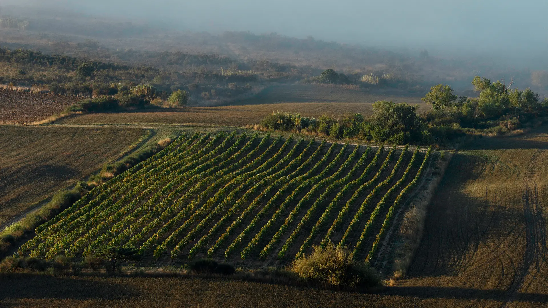 parcelle closerie des lys